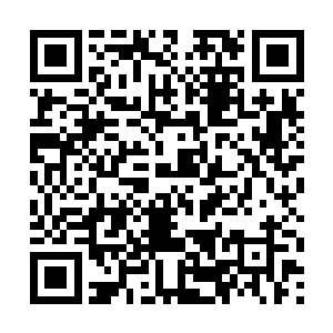 他还真有些不习惯这种一见面就让人跪下的觐见礼节二维码生成