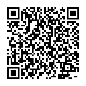 他还真没想到自己还有这么一个堪称王牌间谍兼情报分析师的老婆二维码生成