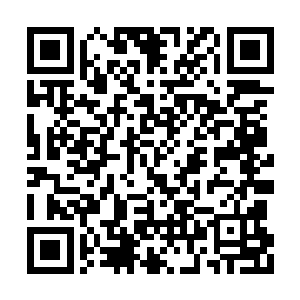 他还记得当时那神秘的灰袍老者对自己所说的话二维码生成