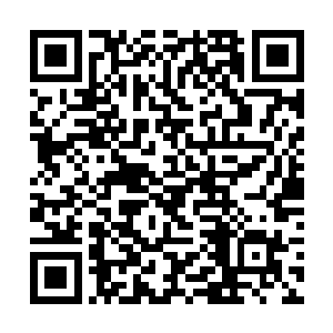 他还需要借助王子浩家的关系以后毕业找个好工作的二维码生成