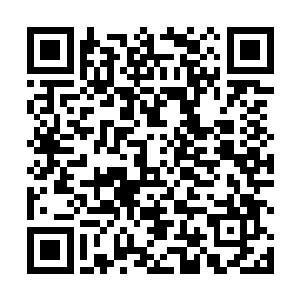 他这一天除了那一大碗汤药什么都没有吃・・・・・・二维码生成