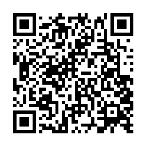 他这一拳可是发挥出了自己有生以来最完美的一拳二维码生成