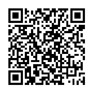 他这一说话就完全打破了原本这具身体主人拥有的威严感二维码生成