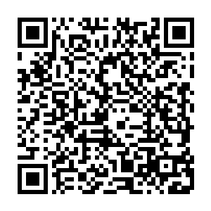 他这个宗师级巅峰强者都觉得有些脸红了……实力固然比秦方等人要强大一些二维码生成