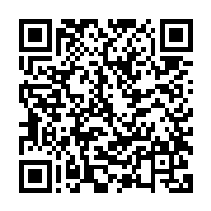 他这位意大利黑手党十一巨头之一的大人物成了夏云杰的小弟二维码生成