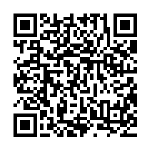 他这只小蝴蝶的出现已经让许多历史事实悄悄地偏离了原有轨道二维码生成