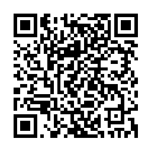 他这样的大人物会为了这一点小事特意放下手头的事情赶过来吗二维码生成