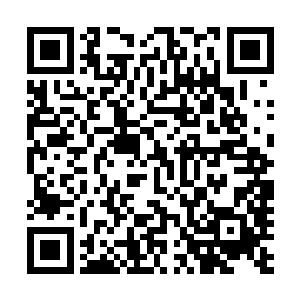 他这样的好心情和脸上那种让人恶心的笑容并没有保持多久二维码生成
