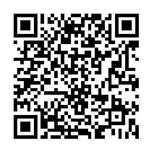 他这次来华夏的目的就是将血族的那个叛徒给揪出来二维码生成
