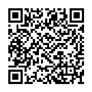 他这辈子做的最错的一件事……就是与苏落为敌二维码生成