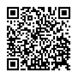 他这边想走都有些麻烦的……这一只血冠狐的感知非常厉害二维码生成