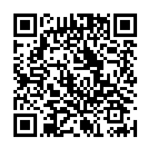 他进来时使用的那块地板此时已经完全恢复了原样二维码生成