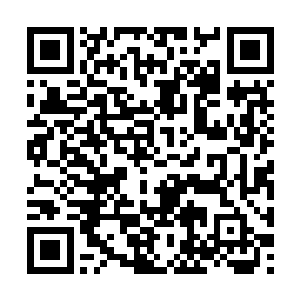 他那蕴含斗气的招式被卡内奇那纯粹的力量给冲散二维码生成