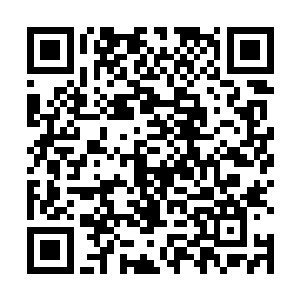 他都开始后悔起了自己干嘛要嘴贱去征求粉丝们的意见二维码生成