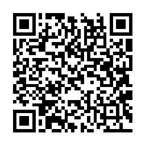 他都能感受到手腕上的圣器腕轮传来的阵阵清凉感二维码生成
