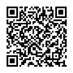 他镇定自若的盯着七彩妖花那被炸成粉碎的身体二维码生成