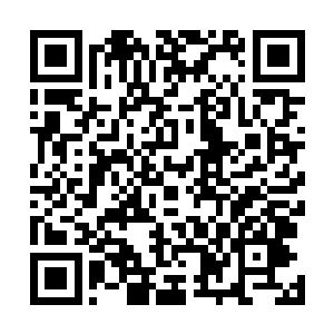 他隐隐看到半空中一直被黑索缚住的屠凛真君正目露精光二维码生成