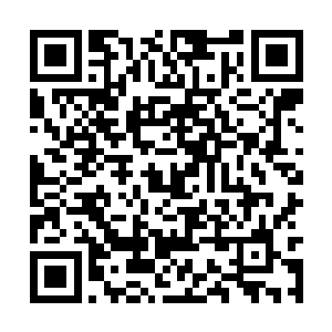 他难道不让自己再次重蹈原剧情覆辙他就不甘心吗二维码生成