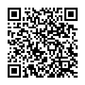 他面前偏偏就有一个能够在圣域之下就抗衡领域压制的变态存在二维码生成