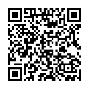 他颇有些嫌弃地看了眼正趴在地毯上玩着积木的儿子二维码生成