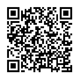 他马上想起了曾经被太上长老击伤并接连陨落的血魔老祖二维码生成