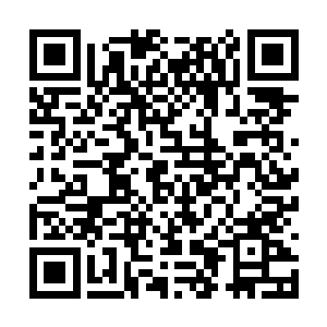 他默默感知了一下阴影位面和这个世界的重叠部分二维码生成