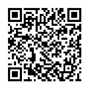 仗着一点恶魔能力就以为能在我玄宇城为所欲为二维码生成