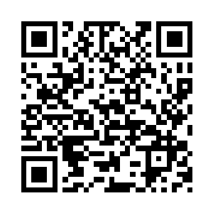 付清朗立刻让人提出一大袋还没动过的食物二维码生成