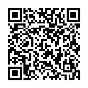 付笑笑只是稍微用了点手段便收服了整个青木部落的人二维码生成