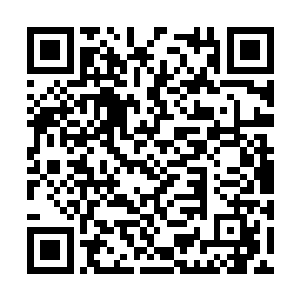 付阳旭却是将希望压在了军训结束后的新生运动会二维码生成