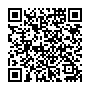 仙主和妖主正分别被两个圣级九层的域外天魔夹击二维码生成