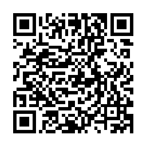 仙主在重归仙主宫的第一件事情就是挑选了十名弟子二维码生成
