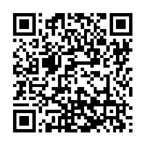 仙主等四圣见到许紫烟已经将所有的白色光点收了起来二维码生成
