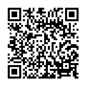 仙人的修炼和下界的修真者修炼从本质上来说都是相同的二维码生成