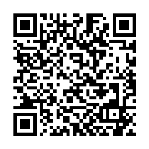 仙女山的风景让每一个来到这里的宾客们都惊叹不已二维码生成