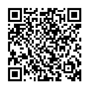仙宗……您说的可是被誉为炎玄大陆四大门派之一的万法仙宗二维码生成
