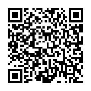 仙宫中人早就在对抗凶兽暴潮的战斗中榨干了最后一丝力气二维码生成