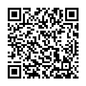 仙桃村的整个经济都被雷欢喜和他的方寸公司所把持二维码生成
