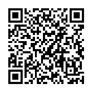 仙王期以上的修士和百万弟子这个基数比起来都显得很少二维码生成