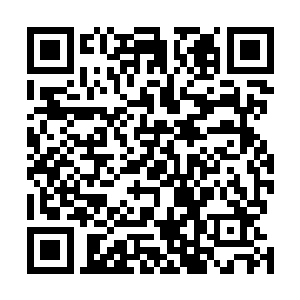 仙界内那些已经投降的仙人也主动加入到了这个行列之中二维码生成