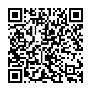 仙路门的修士率先而为的将九霄神剑门满门一万弟子全都杀死二维码生成
