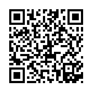 代工的手机款型也必定会和熊猫ar317相似二维码生成