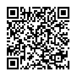 代离一扭头就看到了那幽冥山已经被撕裂开一个个口子了二维码生成