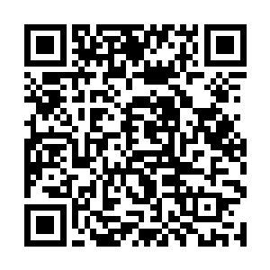 代离宗任由自己被拽入如此危机可怕而又玄妙的世界二维码生成