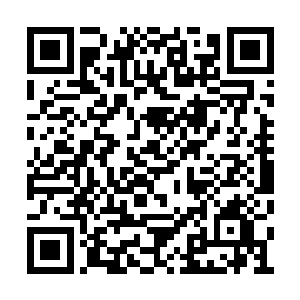 代离手掌一拂将白灵海蛇的身躯收入紫环流银镯二维码生成