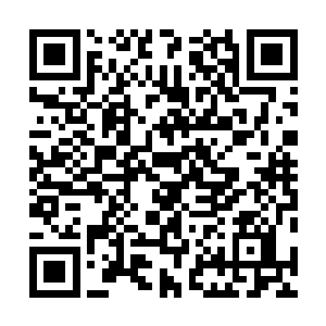 代离的分身被三个强悍的二重皇级乘机联手轰杀湮灭～～二维码生成