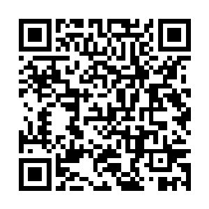 代离的实力从一开始就已经完败整个仙灵宗弟子级二维码生成