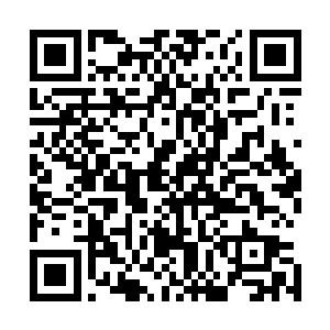 代离眼睁睁看着这根箭矢直接戳在了那祭出法相的大乘额头二维码生成