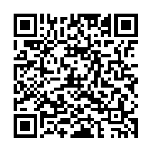 代离瞥了一眼店内整洁大气得装潢跟摆放整齐得丹药瓶二维码生成