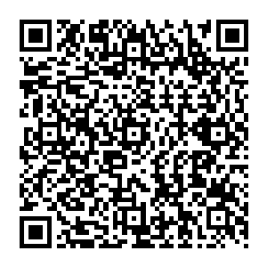 代表人族的三个巨大的红色箭头正与代表魔族的几个黑色箭头纠缠在铁围山脉的中心区域深处二维码生成
